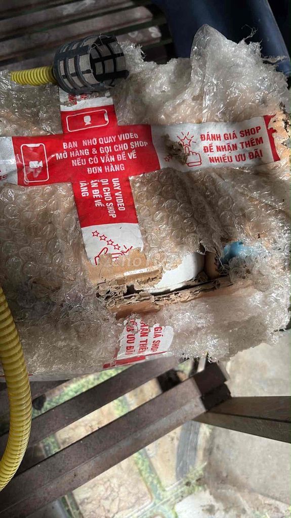 Chậu sứ trắng trồng sen đá, cây cảnh. Mua bán Cây cảnh, đồ trang trí tại Thành phố Thuận An Bình Dương được đăng bởi Châm Lê Thị hình 1