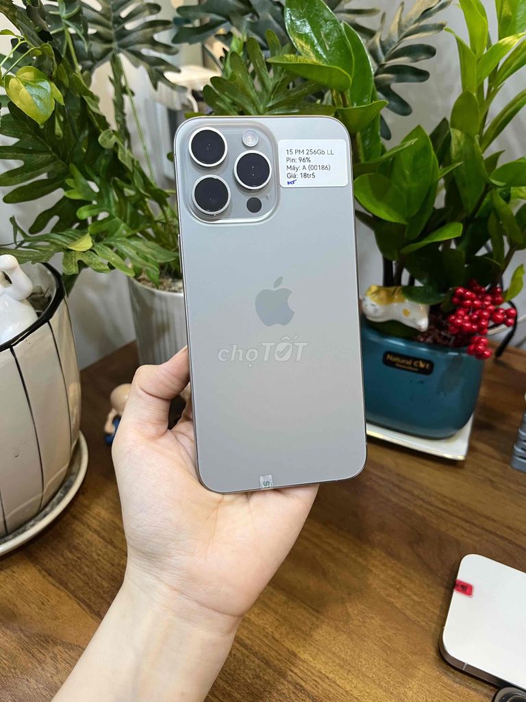  15Promax 256Gb titan tự nhiên quốc tế mỹ đẹp 99. Mua bán Điện thoại tại Huyện Hóc Môn Tp Hồ Chí Minh được đăng bởi SIRI STORE HCM hình 1