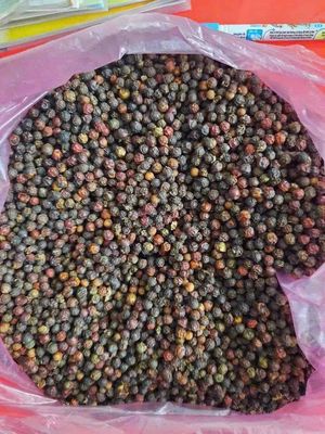 Tiêu Đen Nhà chính góc gia lai. Mua bán Đồ ăn, thực phẩm và các loại khác tại Quận 12 Tp Hồ Chí Minh được đăng bởi Võ Nhật Việt