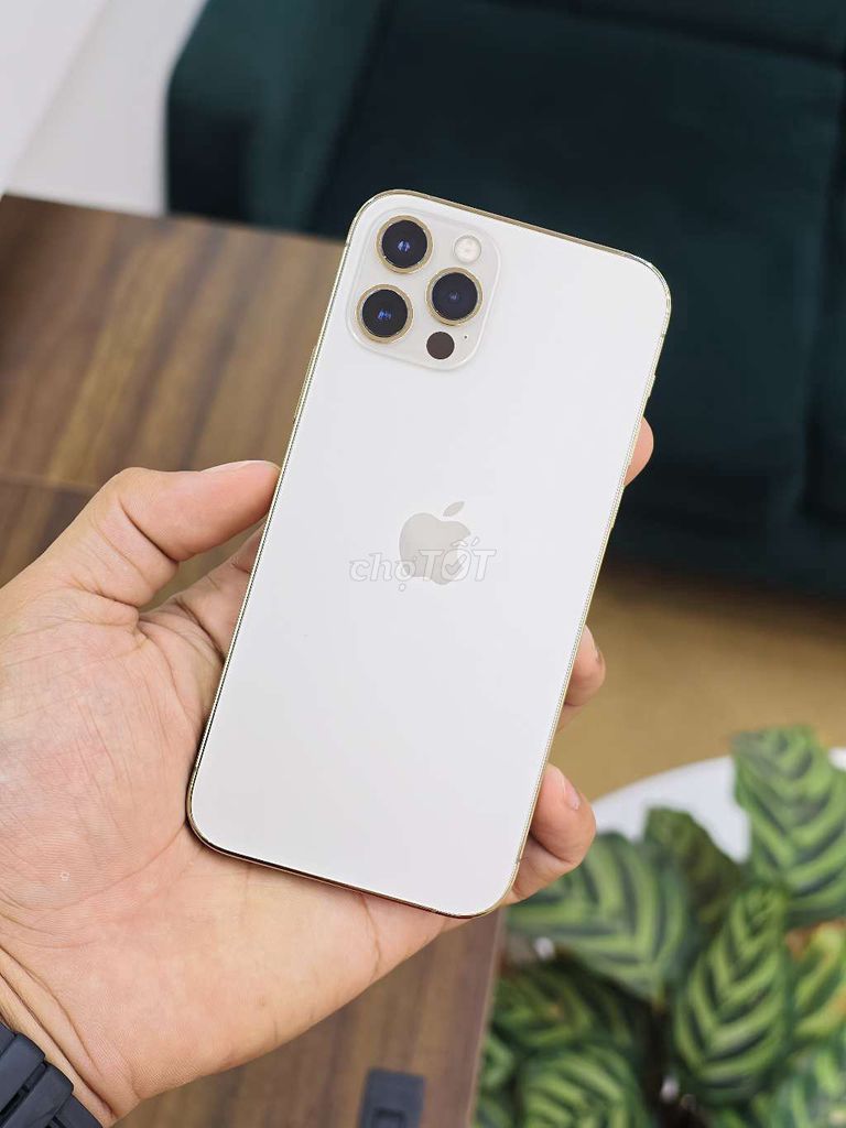 🎁THU KHÁCH THANH LÝ 12PRO 256GB GOLD 98% P100👇. Mua bán Điện thoại tại Quận Hải An Hải Phòng được đăng bởi 98 Ngô Gia Tự Hoàng Dũng Mobile Ngã 3 Văn Cao hình 1