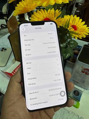 iPhone 13 Pro Max 128GB xanh