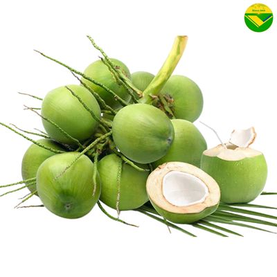 Dừa tươi vikafoods. Mua bán Đồ ăn, thực phẩm và các loại khác tại Thành phố Long Khánh Đồng Nai được đăng bởi Chung Thuy