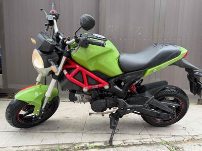 Ducati Mini Xanh lá 110cc