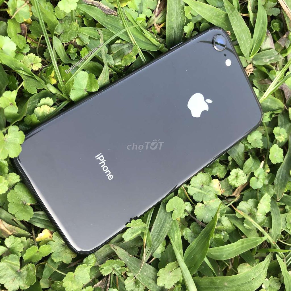 BÁN IP8 ĐEN. Mua bán Điện thoại tại Huyện Vĩnh Tường Vĩnh Phúc được đăng bởi bầu kiên hình 1