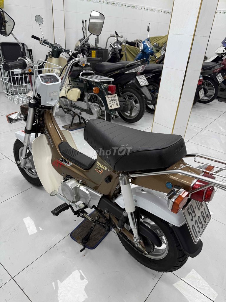 chaly 2024 (bán 13tr8)góp tay đôi, (đậu 100%). Mua bán Xe máy tại Quận 11 Tp Hồ Chí Minh được đăng bởi NAM ANH hình 5