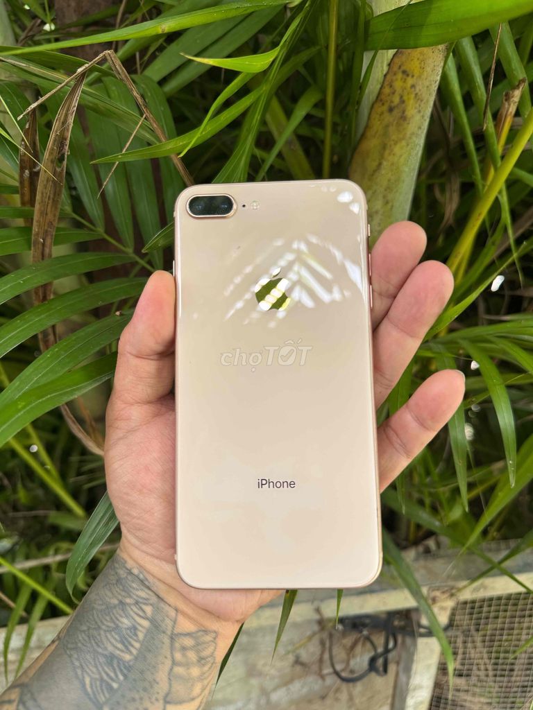 Iphone 8 Plus 64gb Quốc Tế LL/a Zin đẹp Pin 100%. Mua bán Điện thoại tại Thành phố Thủ Đức Tp Hồ Chí Minh được đăng bởi  Hiệp Tôn hình 1