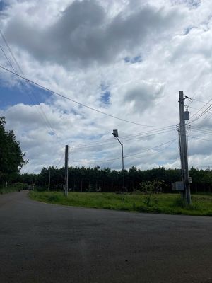 Gia đình cần bán gấp 220m2 thổ cư ngay trung tâm xã