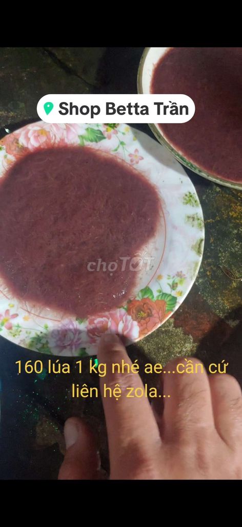 Thức ăn tốt cho cá cảnh