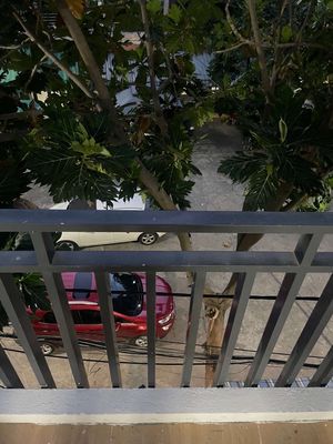 Nhà phố 20 m² · 2 PN · Đường Cô Giang