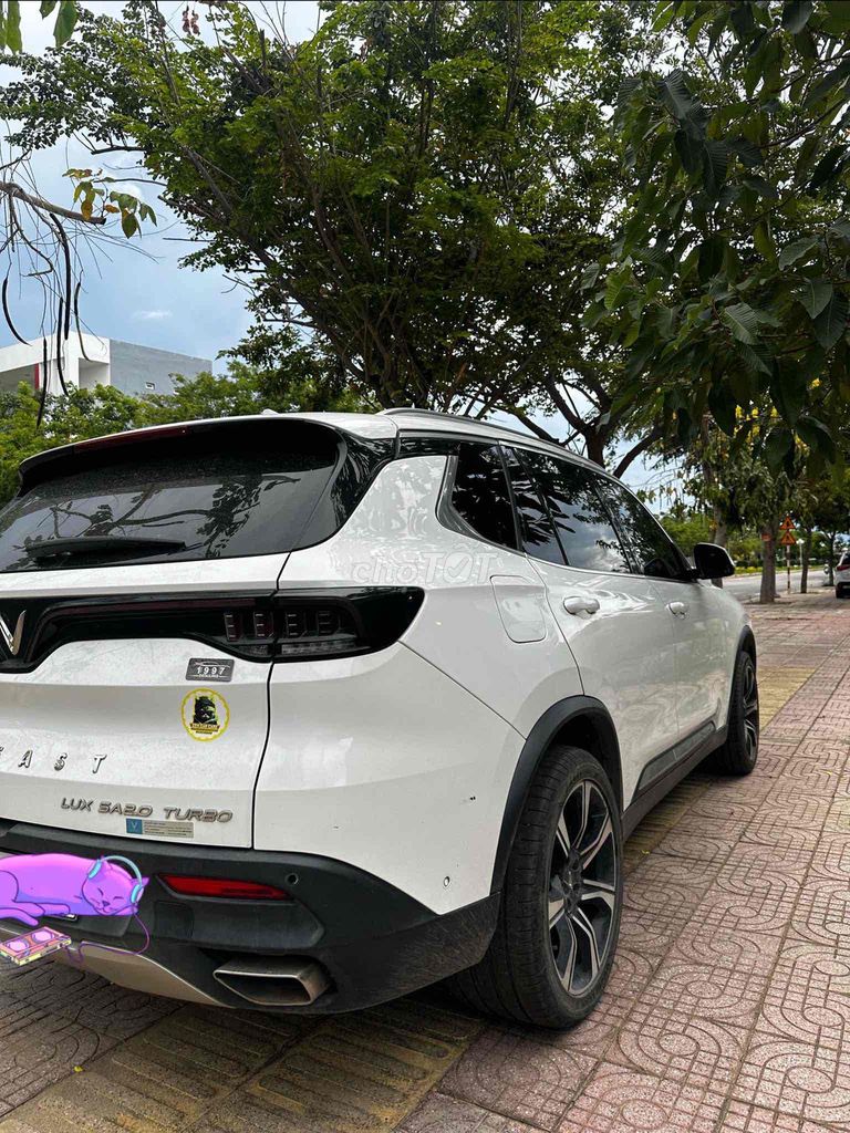 Ảnh số 6