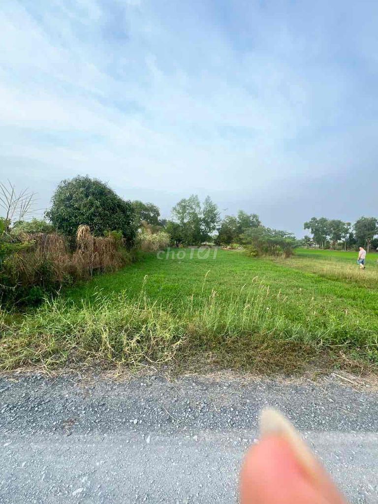 Cần bán gấp 516m2 đất thổ cư gần UBND xã Hoà Khánh Nam