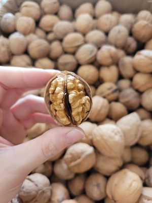 𝗡𝗛Â𝗡 Ó𝗖 𝗖𝗛Ó 𝗩À𝗡𝗚. Mua bán Đồ ăn, thực phẩm và các loại khác tại Quận Ngô Quyền Hải Phòng được đăng bởi Hạt An An