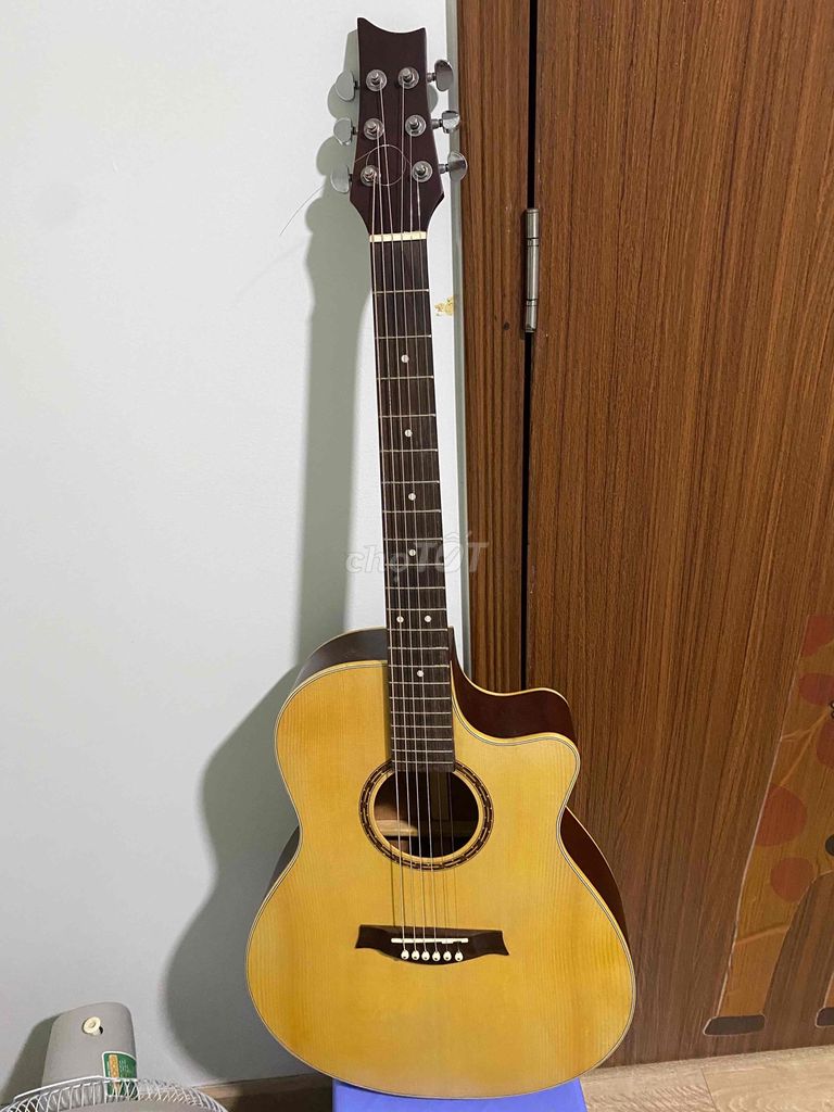 Guitar acoustic cho người mới tập đàn