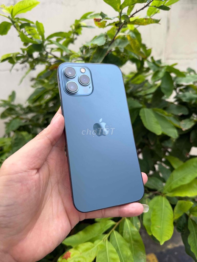 Apple iPhone 12 Pro Max 128GB Xanh 98%. Mua bán Điện thoại tại Thành phố Vũng Tàu Bà Rịa - Vũng Tàu được đăng bởi BINHHYK  hình 1