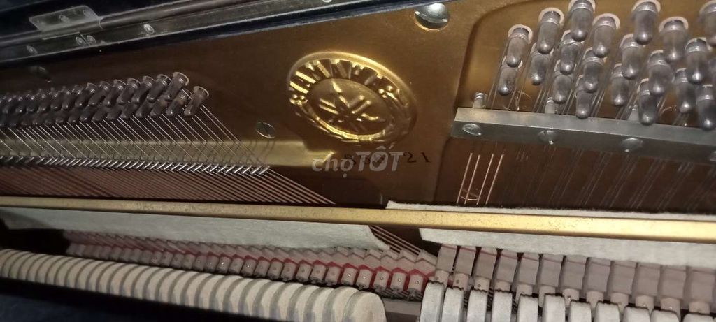 Đàn piano Yamaha u1e