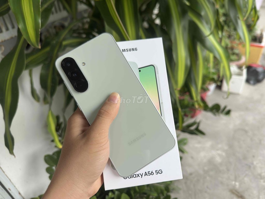 Samsung Galaxy A56 5G 8GB/128GB like new. Mua bán Điện thoại tại Quận Ninh Kiều Cần Thơ được đăng bởi ĐIỆN THOẠI GIÁ TỐT UY TÍN  hình 1