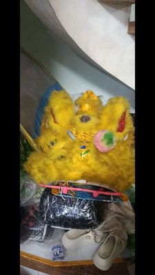 Đầu lân màu Vàng Đã qua sử dụng. Mua bán Sở thích khác tại Quận Tân Bình Tp Hồ Chí Minh được đăng bởi Thai Quynh