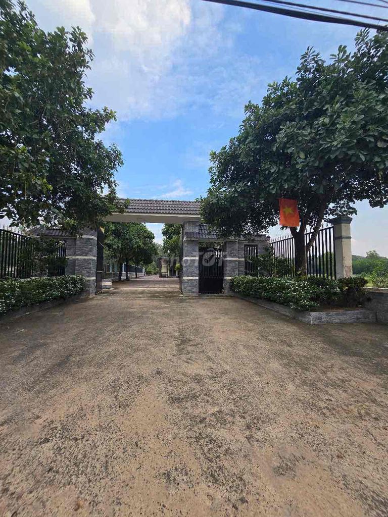 Mặt tiền đường cây dầu. Mua bán nhà ở tại Huyện Nhơn Trạch Đồng Nai được đăng bởi NGUYỄN THANH CHÍNH hình 2