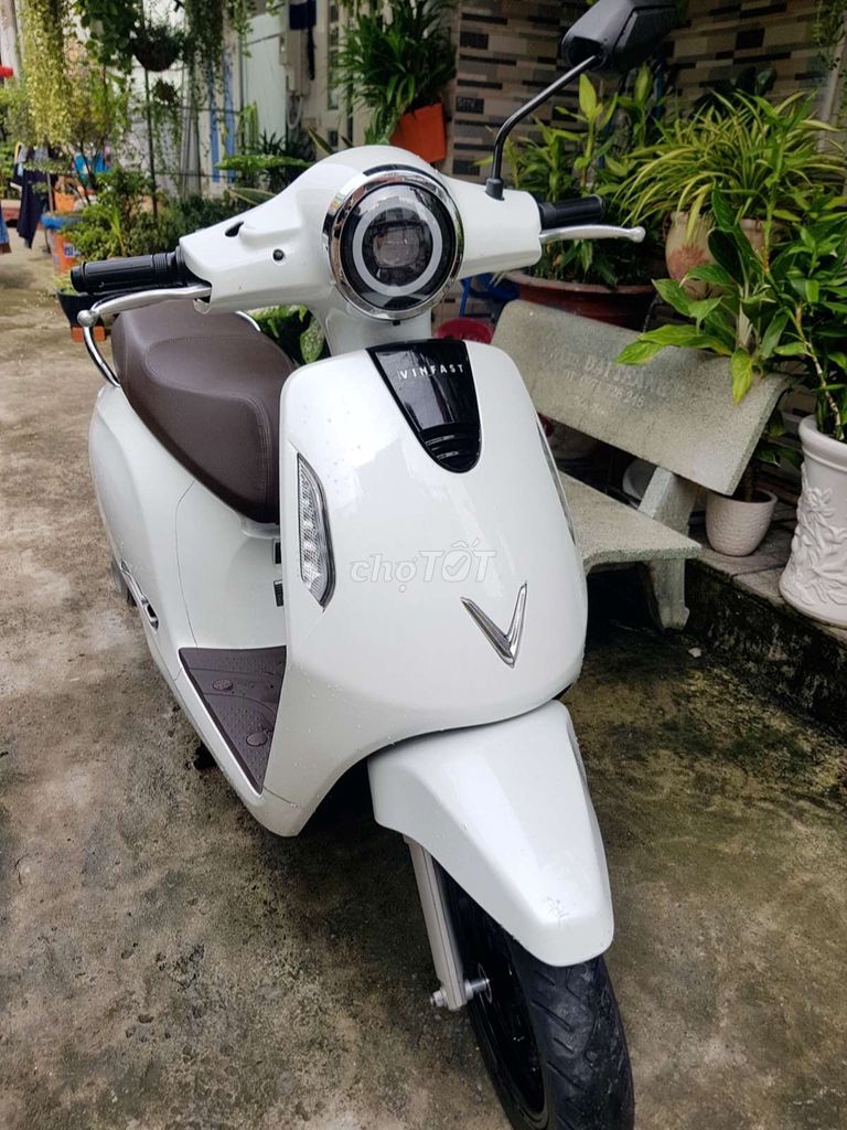 Evo 200 Vinfast . Pin thuê 350k ko giới hạn km .