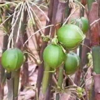 Bất động sản KBT Bất động sản KBT