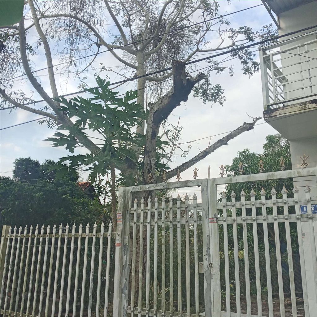 Cho thuê giá rẻ. Dịch vụ tại Thành phố Long Xuyên An Giang được đăng bởi Thanh Nhã hình 1