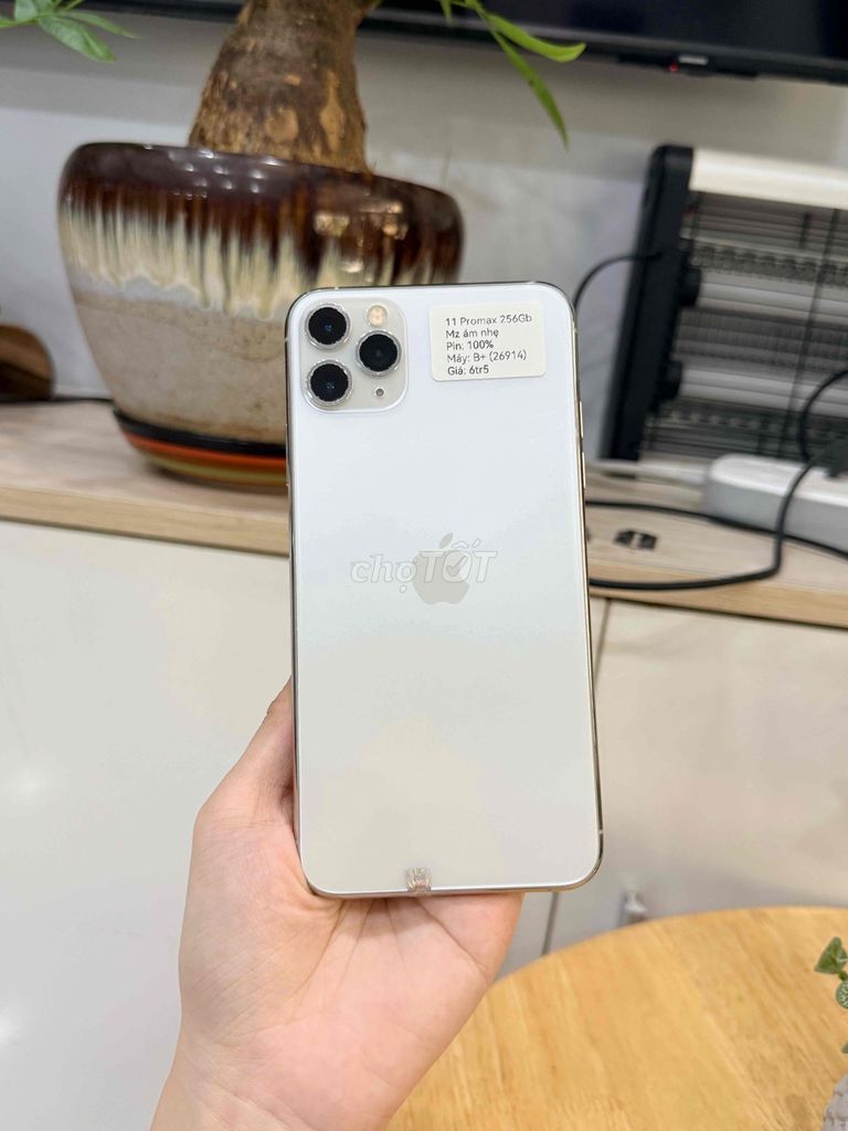 iPhone 11 Pro Max 256GB Trắng LL/A. Mua bán Điện thoại tại Huyện Hóc Môn Tp Hồ Chí Minh được đăng bởi Luân Hoài hình 1