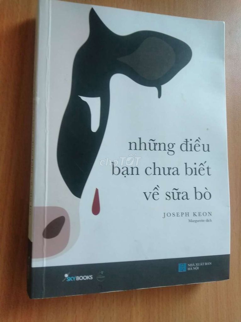 Những điều bạn chưa biết về sữa bò