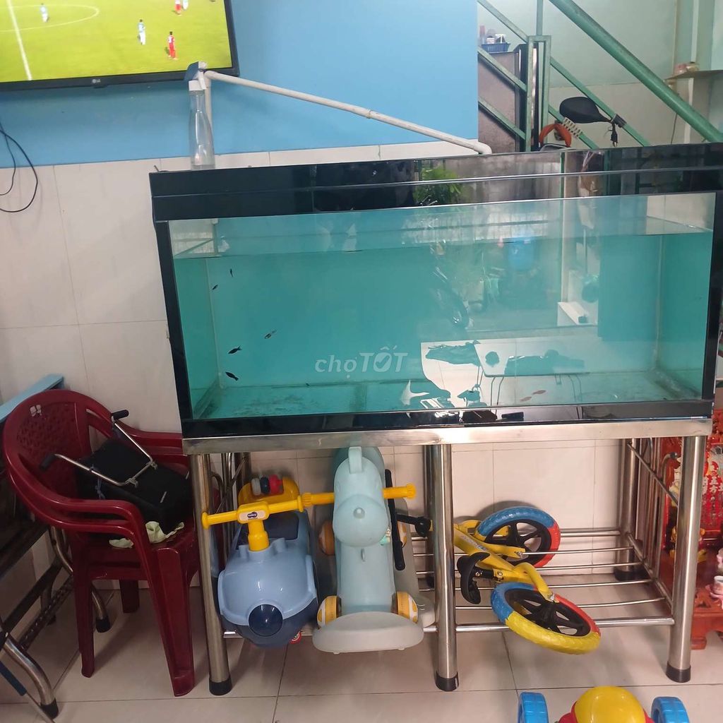 Bể cá cảnh Kính Inox 1m2x50x60. Mua bán Phụ kiện, Thức ăn, Dịch vụ tại Quận Bình Tân Tp Hồ Chí Minh được đăng bởi Lê kim phát hình 1
