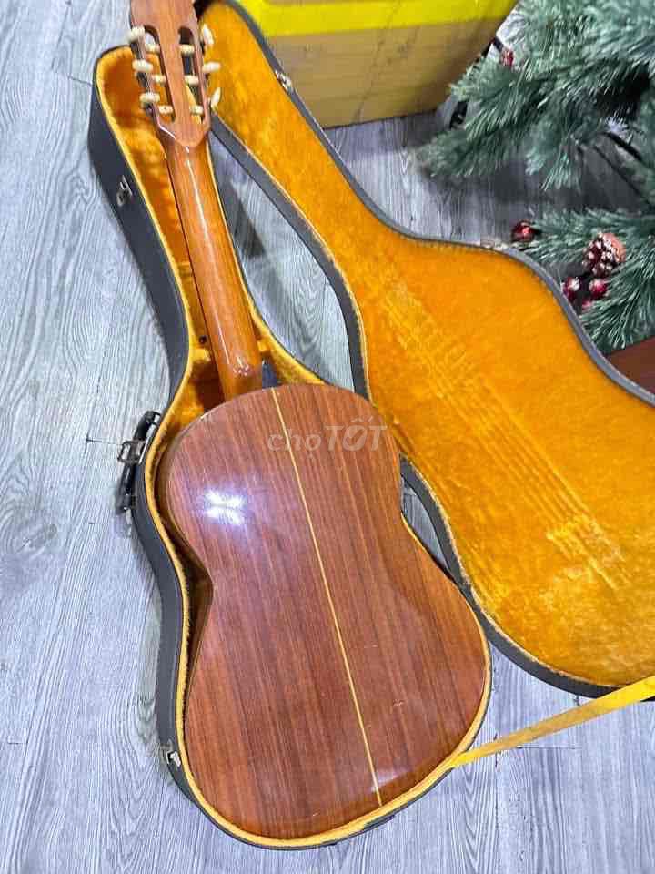 Classic Xịn Tokai No100