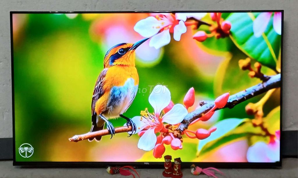 Tivi wifi 4k 43 inch zin đẹp như mới có giọng nói. Mua bán Tivi, Âm thanh tại Quận Ninh Kiều Cần Thơ được đăng bởi Luật Nguyễn hình 1