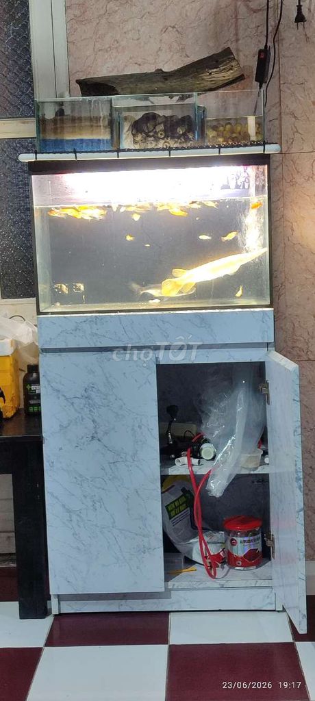 Hồ cá kính 60cm mài vi tính tủ 2 tầng. Mua bán Phụ kiện, Thức ăn, Dịch vụ tại Thành phố Mỹ Tho Tiền Giang được đăng bởi Ngạo Thiên hình 1