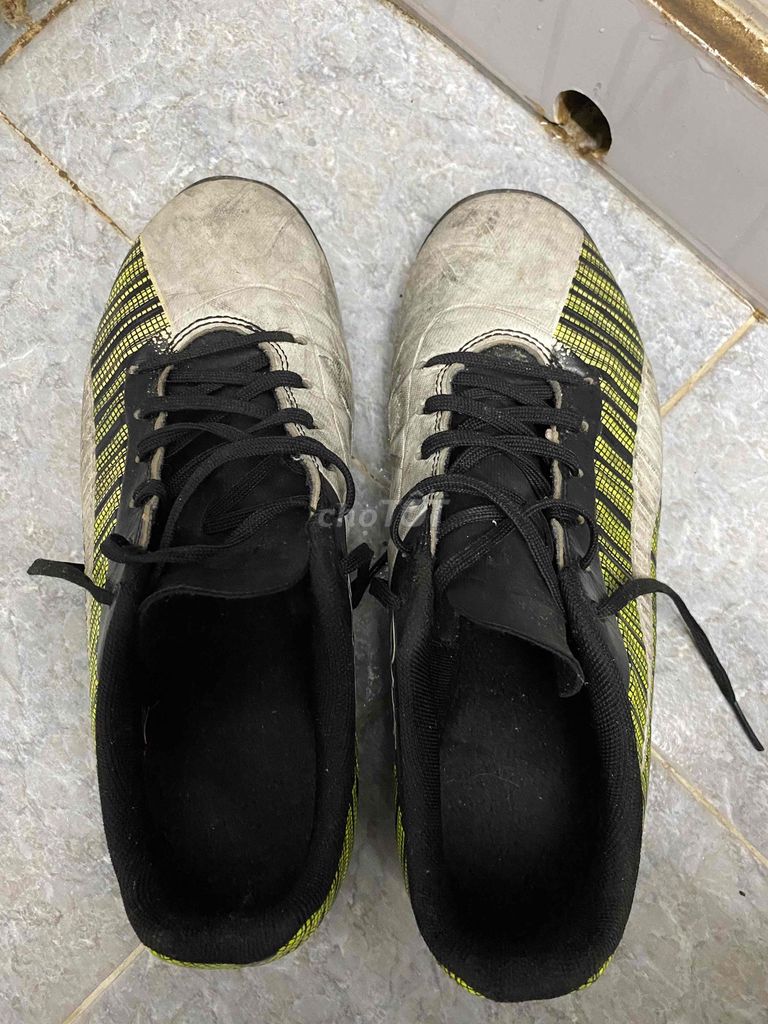 Giày thể thao Puma Nam size 40. Mua bán Giày dép tại Quận 11 Tp Hồ Chí Minh được đăng bởi phan ĐẠT  hình 1