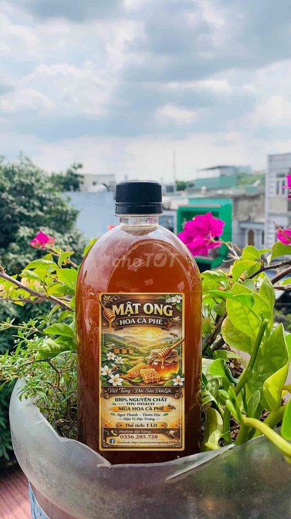 Mật ong hoa cà phê Đắk Lắk 1 lít. Mua bán Đồ ăn, thực phẩm và các loại khác tại Quận 12 Tp Hồ Chí Minh được đăng bởi Ngô Hằng hình 1