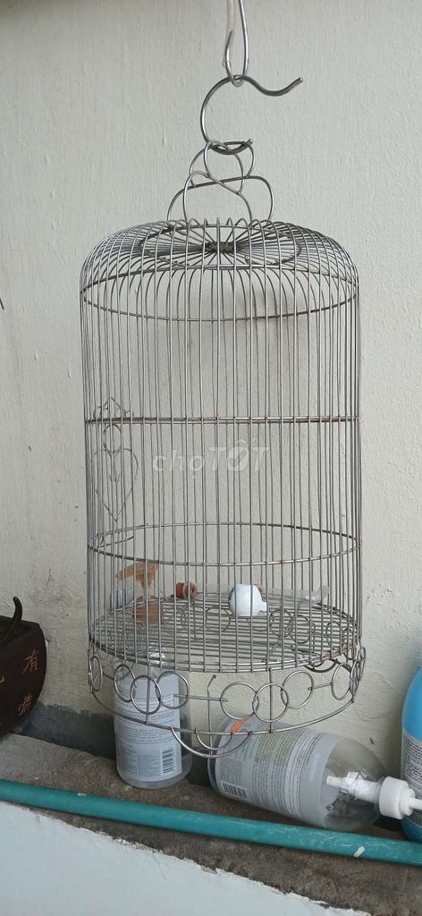 Lồng chim Inox Bạc có ống nước. Mua bán Phụ kiện, Thức ăn, Dịch vụ tại Quận Đống Đa Hà Nội được đăng bởi Chị My hình 1