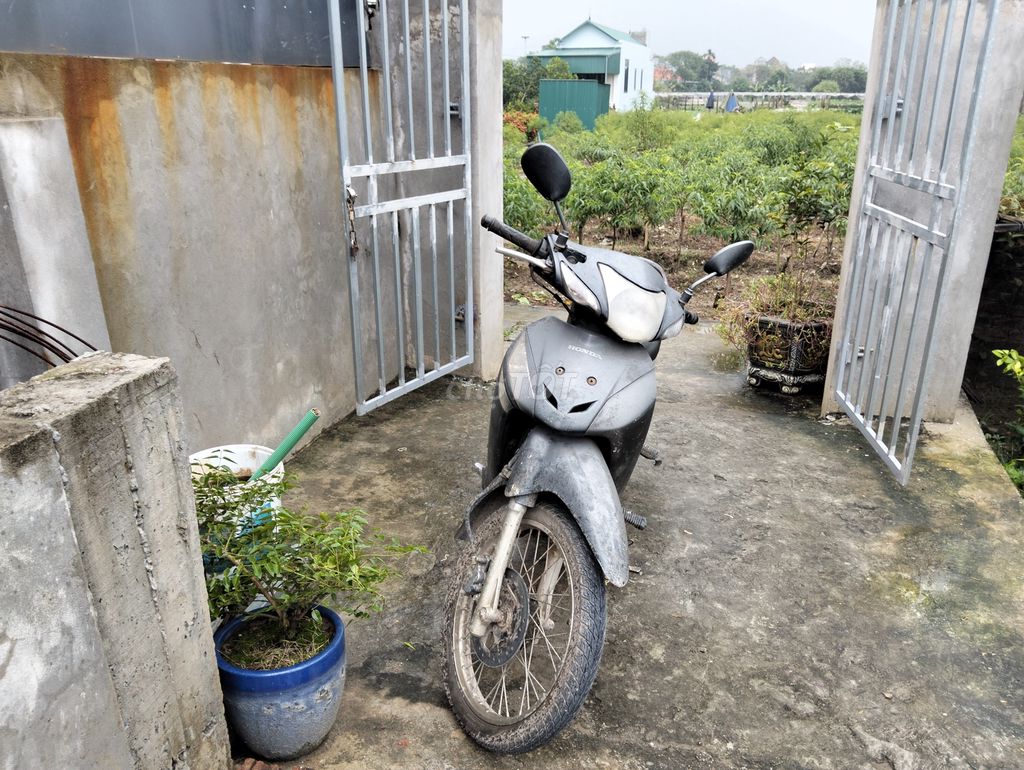 Bán xe số như hình cho ai có nhu cầu. Mua bán Xe máy tại Huyện Thường Tín Hà Nội được đăng bởi Mong Đoàn hình 1