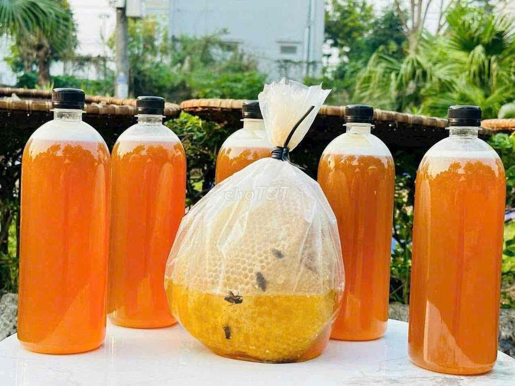 Mật ong Sáp ong Tây Bắc. Mua bán Đồ ăn, thực phẩm và các loại khác tại Quận Hoàng Mai Hà Nội được đăng bởi Sen Vàng hình 1