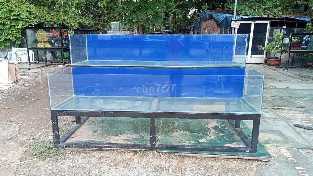Hồ hải sản Kính cường lực. Mua bán Phụ kiện, Thức ăn, Dịch vụ tại Huyện Bình Chánh Tp Hồ Chí Minh được đăng bởi Hồ Cá Mộng Tuyền hình 1