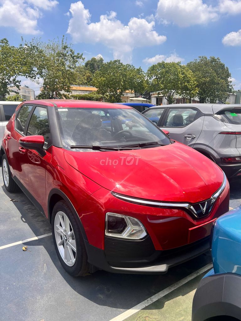 Ảnh số 7