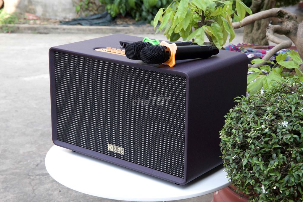 Loa karaoke Acnos FLAC39 tím. Mua bán Tivi, Âm thanh tại Huyện Trảng Bom Đồng Nai được đăng bởi Vinh Báo Đồng Nai hình 1