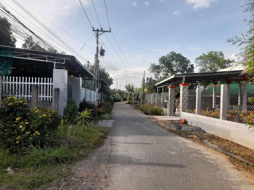 Hàng thơm, 310m2 đất có 170m2 thổ cư đường xe tải 832 chỉ 1.1 tỷ. Mua bán đất tại Huyện Tân Trụ Long An được đăng bởi Hùng Lê hình 3