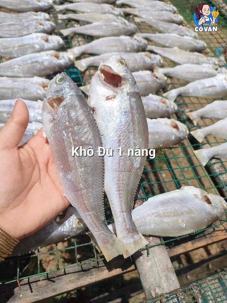 Cá Đù tẩm vị 500gr. Mua bán Đồ ăn, thực phẩm và các loại khác tại Huyện Phù Cát Bình Định được đăng bởi Lê Thị Thu Hương hình 1