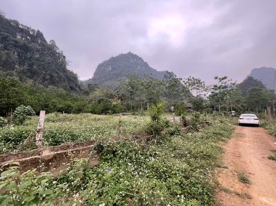 Bán Đất Thổ cư Giá Siêu Đẹp.. Mua bán đất tại Huyện Cao Phong Hòa Bình được đăng bởi Đinh Tiến Khanh