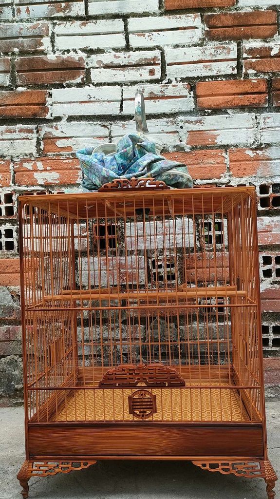 Lồng chim tre . Mua bán Phụ kiện, Thức ăn, Dịch vụ tại Thành phố Thủ Dầu Một Bình Dương được đăng bởi tuyen  hình 1