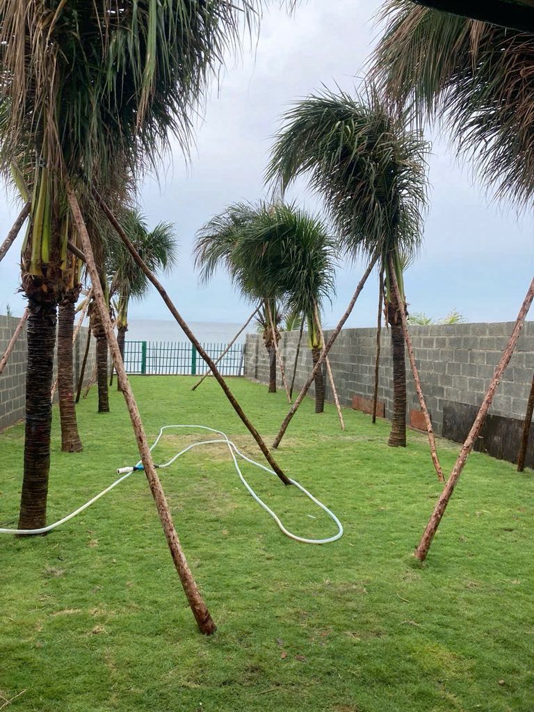 Nhà chính chủ mặt tiền biển. Mua bán nhà ở tại Thành phố Phan Thiết Bình Thuận được đăng bởi Hồ thị thanh Hường hình 4