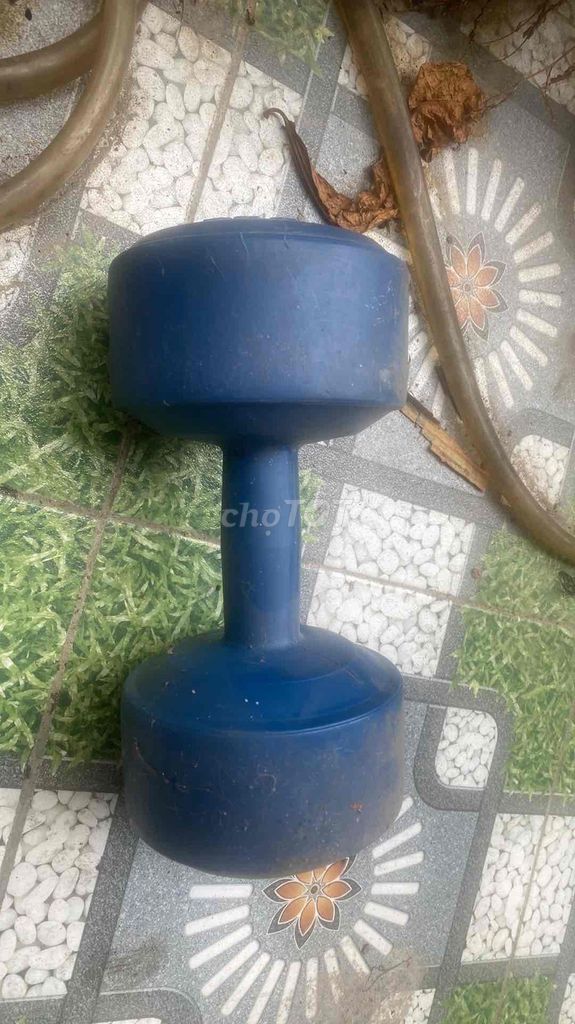 Tạ tay Sport Star 5kg Xanh dương. Mua bán Đồ thể thao, Dã ngoại tại Quận Tân Phú Tp Hồ Chí Minh được đăng bởi bichsen hình 1