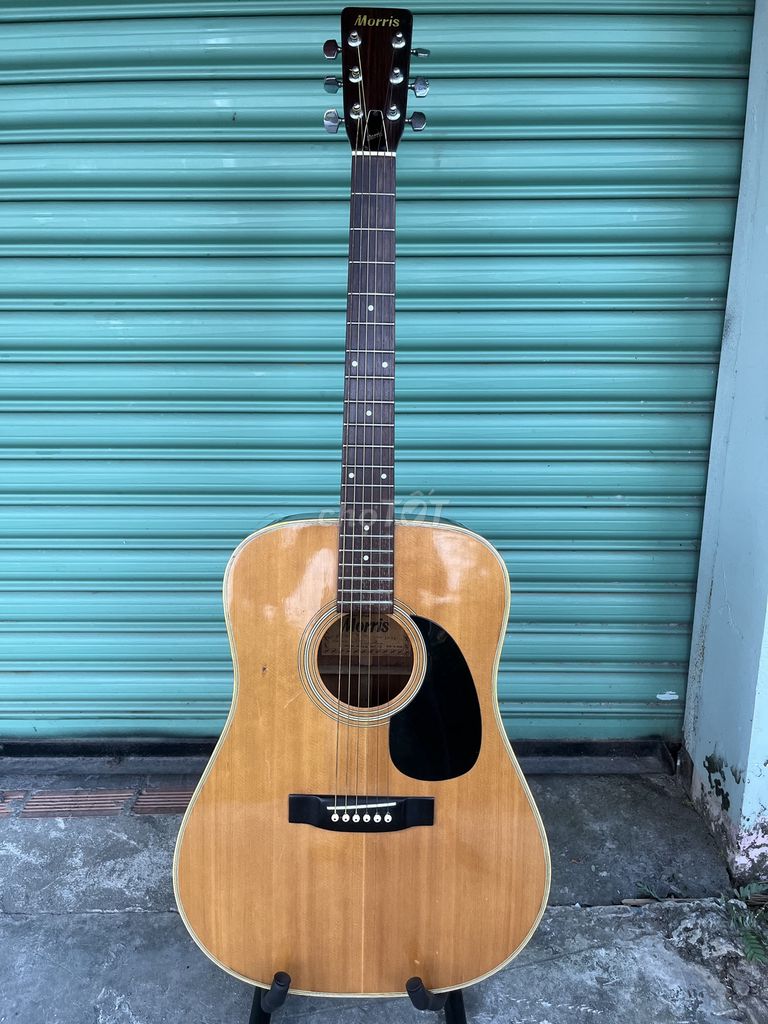 Guitar Morris W20