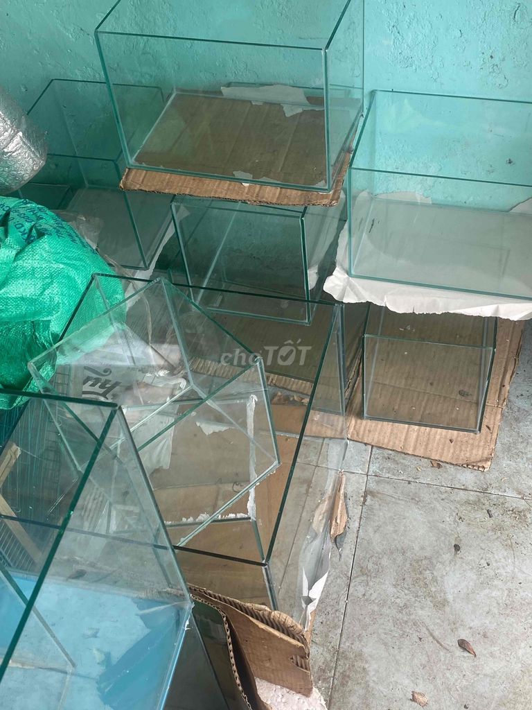 Bể cá cảnh Kính các loại tại huế. Mua bán Phụ kiện, Thức ăn, Dịch vụ tại Thành phố Huế Thừa Thiên Huế được đăng bởi Anh hùng hình 1