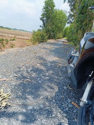 Đất lúa mặt tiền đường bờ kênh lớn.. Mua bán đất tại Huyện Thủ Thừa Long An được đăng bởi huynh tan dat