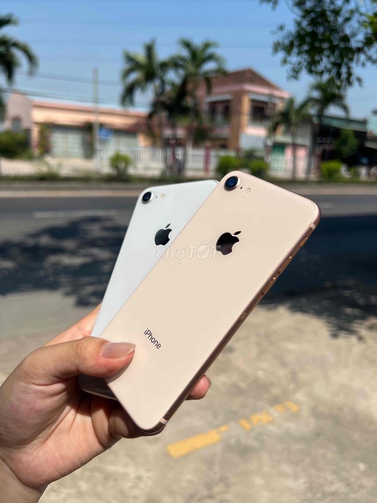 Cần bán iphone 8G 64G zin keng quốc tế full cn. Mua bán Điện thoại tại Thành phố Qui Nhơn Bình Định được đăng bởi Gia Long hình 1
