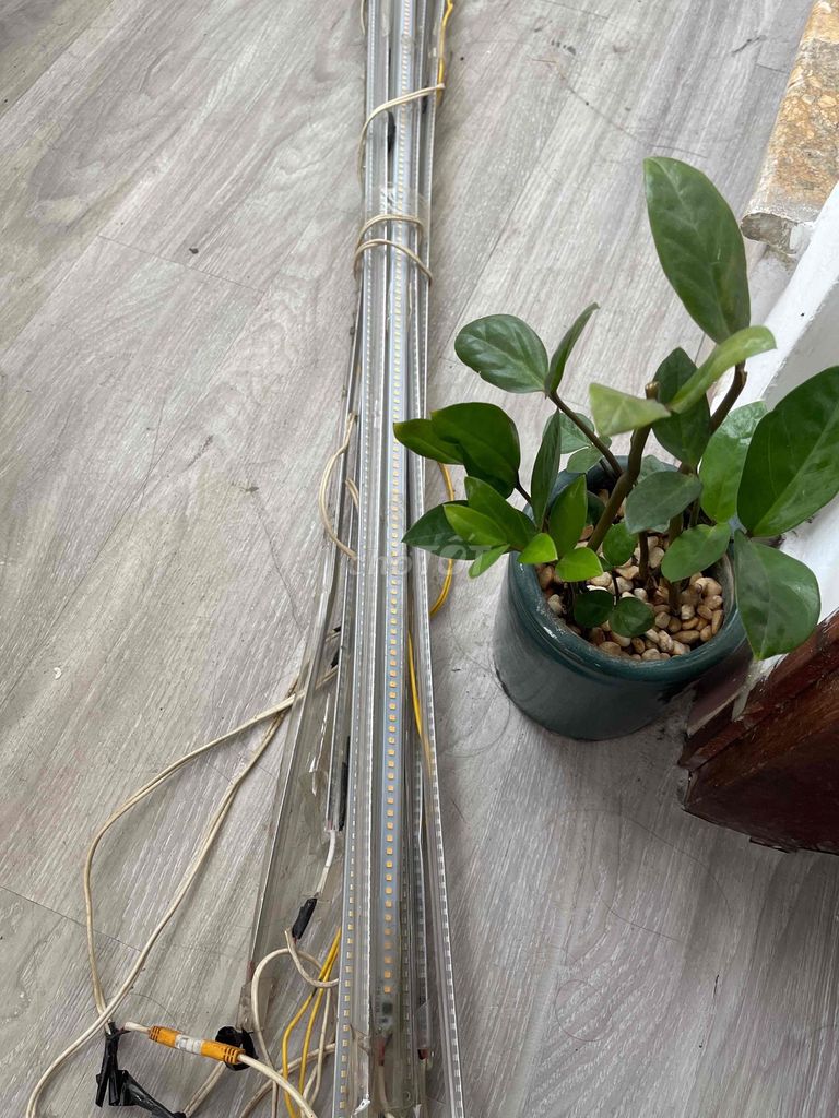 Đèn LED trang trí 9 cái. Mua bán Đèn tại Quận Phú Nhuận Tp Hồ Chí Minh được đăng bởi Tran Phu Nhuan hình 1